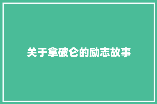 关于拿破仑的励志故事