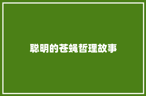 聪明的苍蝇哲理故事