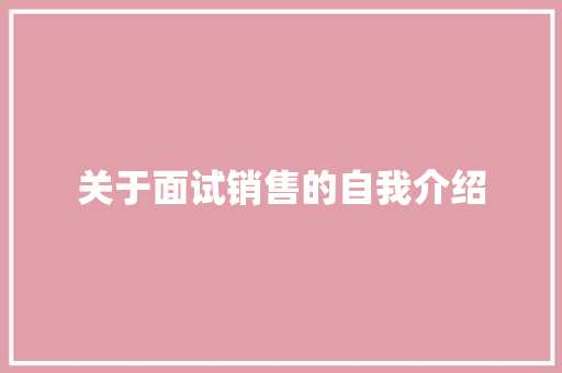 关于面试销售的自我介绍 会议纪要范文