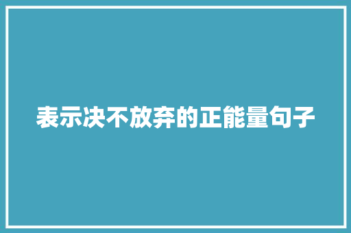 表示决不放弃的正能量句子 申请书范文