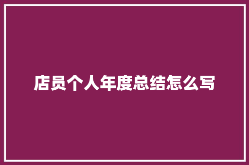 店员个人年度总结怎么写