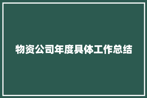 物资公司年度具体工作总结