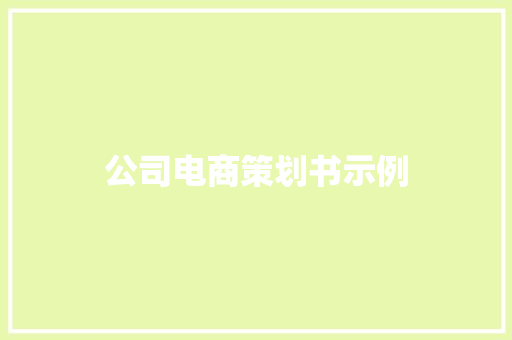 公司电商策划书示例