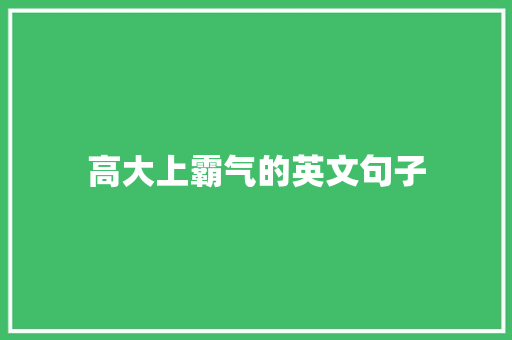 高大上霸气的英文句子