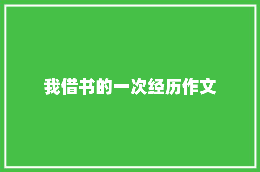 我借书的一次经历作文