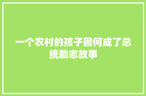 一个农村的孩子因何成了总统励志故事 商务邮件范文