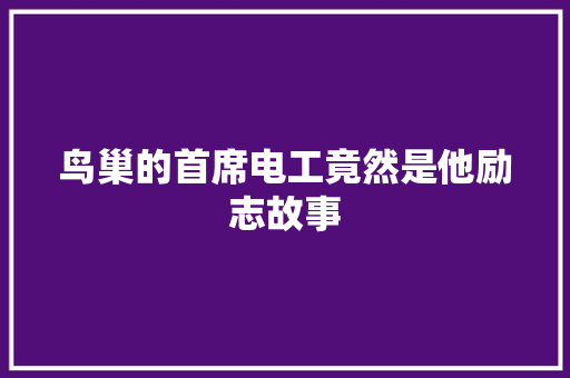 鸟巢的首席电工竟然是他励志故事