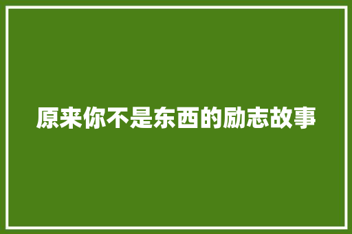 原来你不是东西的励志故事