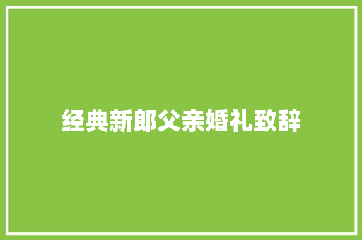 经典新郎父亲婚礼致辞 会议纪要范文