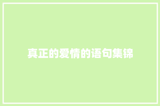 真正的爱情的语句集锦 会议纪要范文