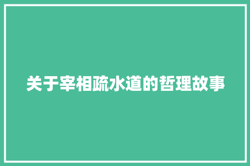 关于宰相疏水道的哲理故事