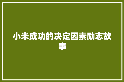 小米成功的决定因素励志故事