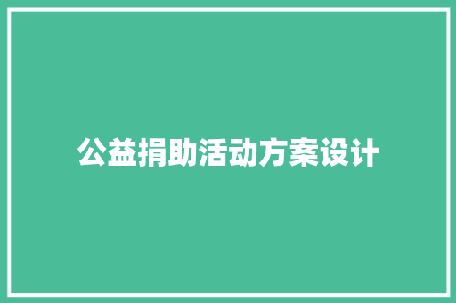 公益捐助活动方案设计