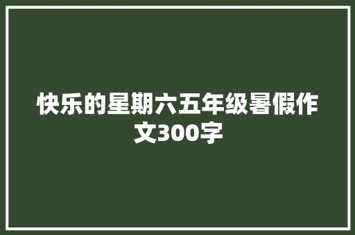 快乐的星期六五年级暑假作文300字