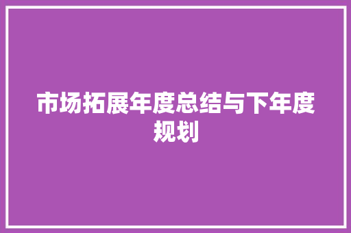 市场拓展年度总结与下年度规划