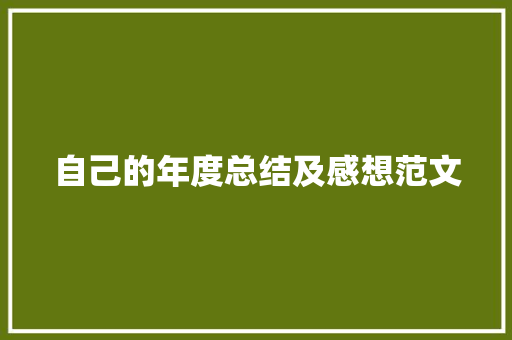 自己的年度总结及感想范文