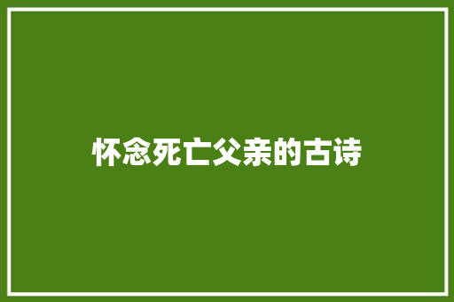 怀念死亡父亲的古诗 会议纪要范文