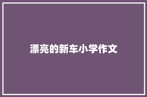 漂亮的新车小学作文 会议纪要范文