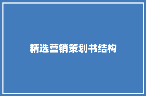 精选营销策划书结构 职场范文