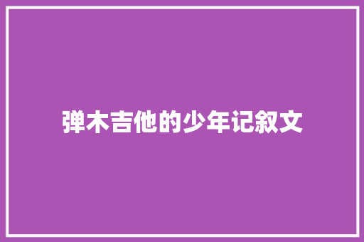 弹木吉他的少年记叙文