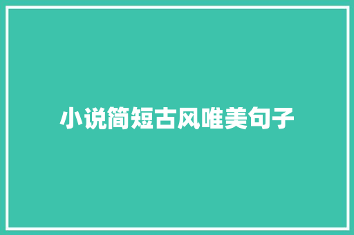 小说简短古风唯美句子 论文范文