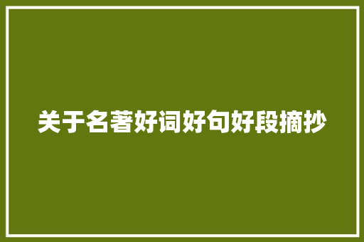 关于名著好词好句好段摘抄 论文范文