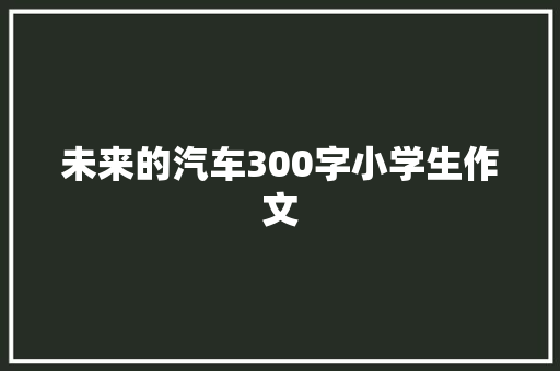 未来的汽车300字小学生作文 会议纪要范文