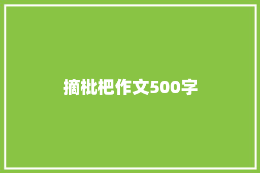 摘枇杷作文500字