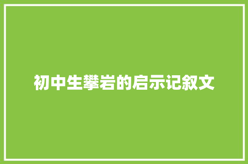 初中生攀岩的启示记叙文