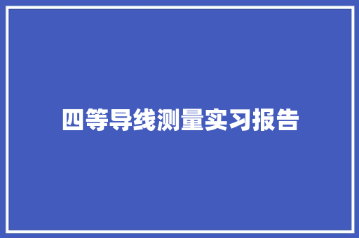 四等导线测量实习报告