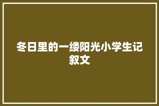 冬日里的一缕阳光小学生记叙文