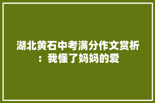 湖北黄石中考满分作文赏析：我懂了妈妈的爱 会议纪要范文