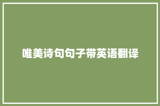 唯美诗句句子带英语翻译 申请书范文