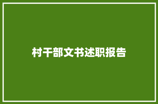 村干部文书述职报告 综述范文