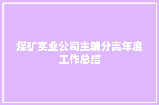 煤矿实业公司主辅分离年度工作总结