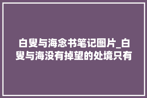 白叟与海念书笔记图片_白叟与海没有掉望的处境只有强大的心境 申请书范文