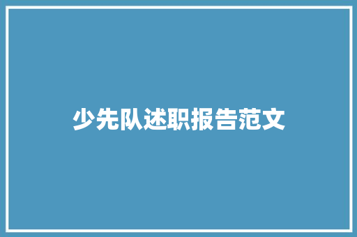 少先队述职报告范文 综述范文