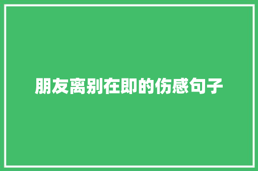 朋友离别在即的伤感句子