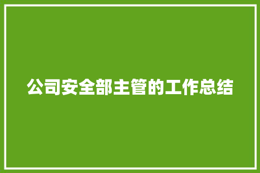 公司安全部主管的工作总结 综述范文