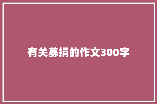 有关募捐的作文300字