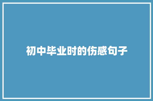 初中毕业时的伤感句子