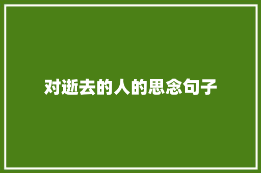 对逝去的人的思念句子