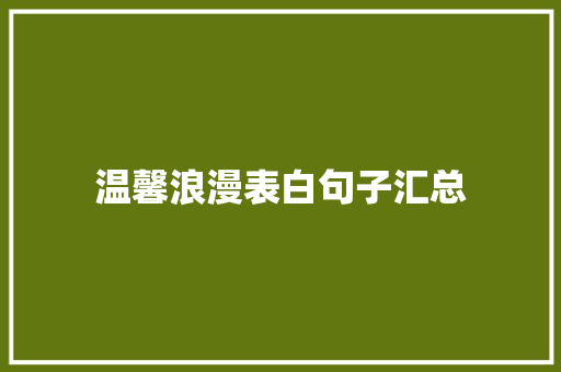 温馨浪漫表白句子汇总