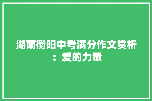 湖南衡阳中考满分作文赏析：爱的力量