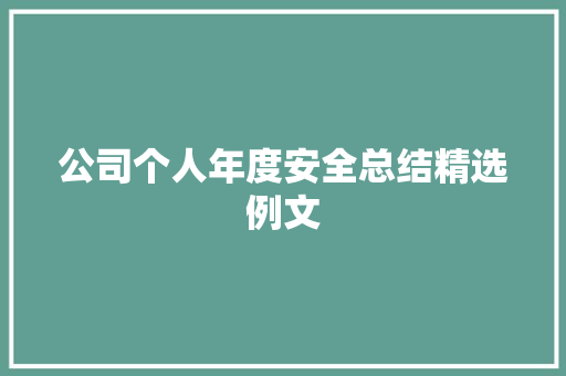 公司个人年度安全总结精选例文 求职信范文