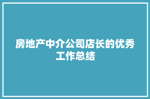 房地产中介公司店长的优秀工作总结