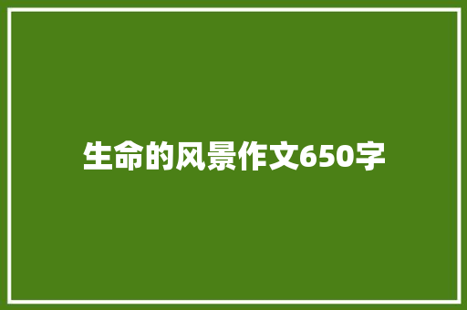 生命的风景作文650字