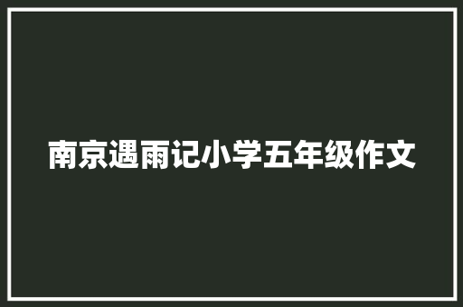 南京遇雨记小学五年级作文 生活范文