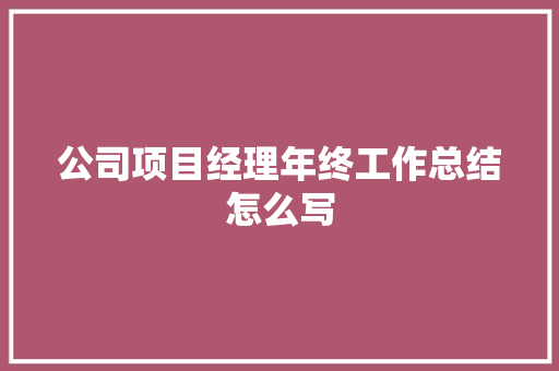 公司项目经理年终工作总结怎么写