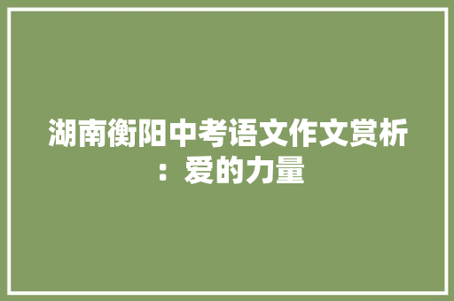 湖南衡阳中考语文作文赏析：爱的力量